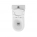 Унитаз-компакт Owl 1975 Tid Cirkel-G (OWLT190702) с сиденьем DP микролифт - 3
