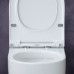 Унитаз подвесной Berges Wasserhaus Ego XL 082118 - 4