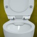 Унитаз подвесной Berges Wasserhaus Top 082123 - 4