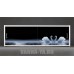 Фото экран под ванну раздвижной с полочкой Francesca Premium 1.5,1.7,1.8 Лебеди на воде (Антискользящее Основание)  - 1