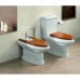 Крышка-сиденье Roca America 801492M14 с микролифтом - 2