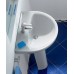 Раковина Roca Victoria 32739300Y 56 см - 6