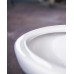Комплект  Система инсталляции для унитазов Geberit Duofix Delta 458.124.21.1 3 в 1 с кнопкой смыва + Унитаз подвесной Gustavsberg Estetic Hygienic Flush белый - 5